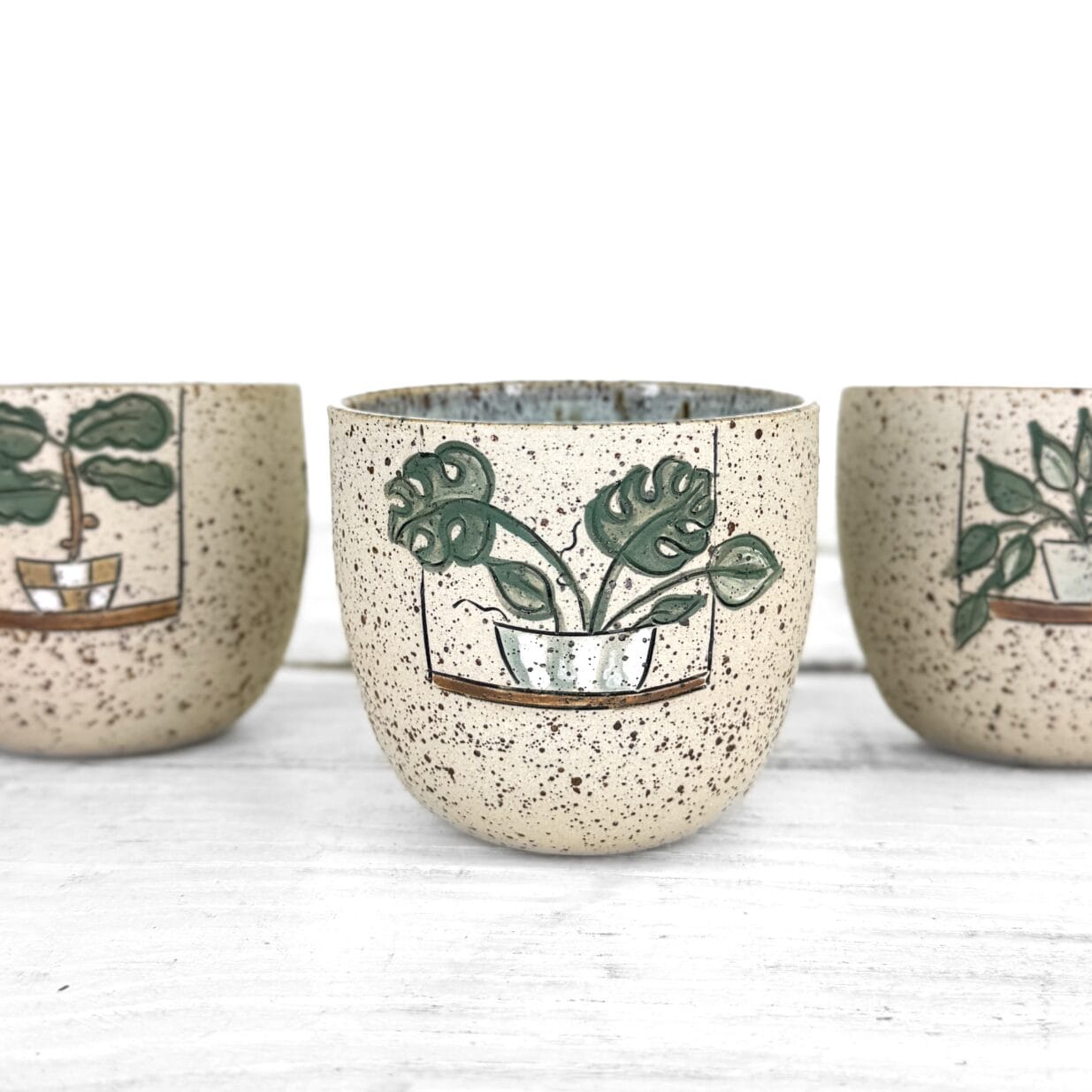 Plants 210ml