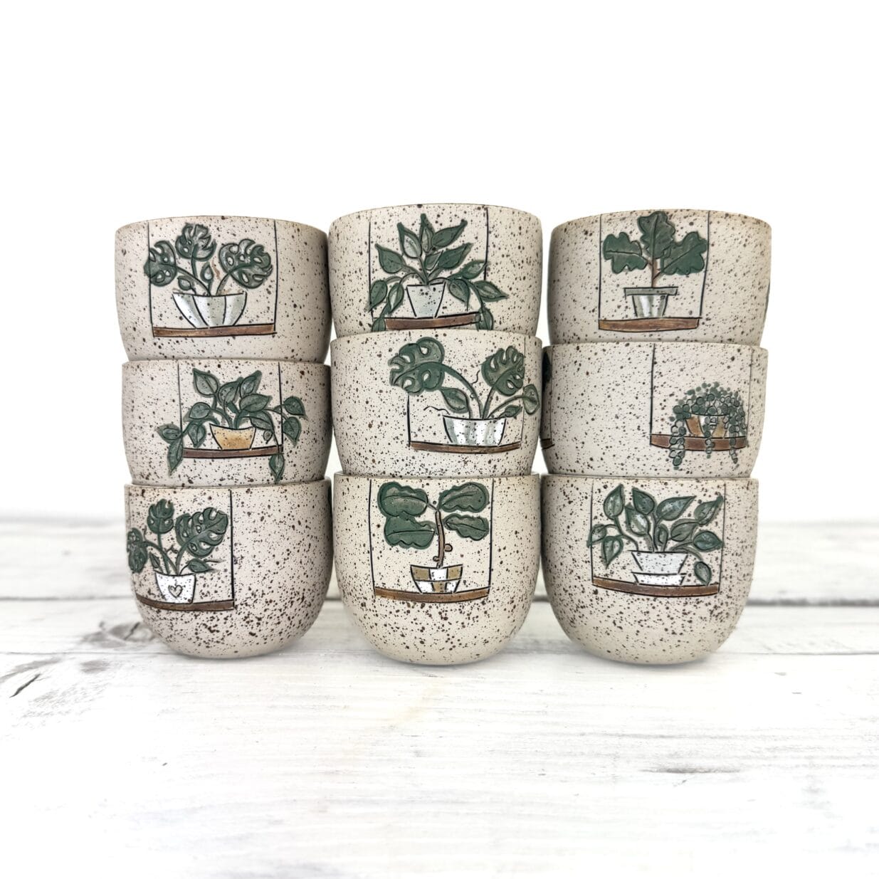 Plants 200ml
