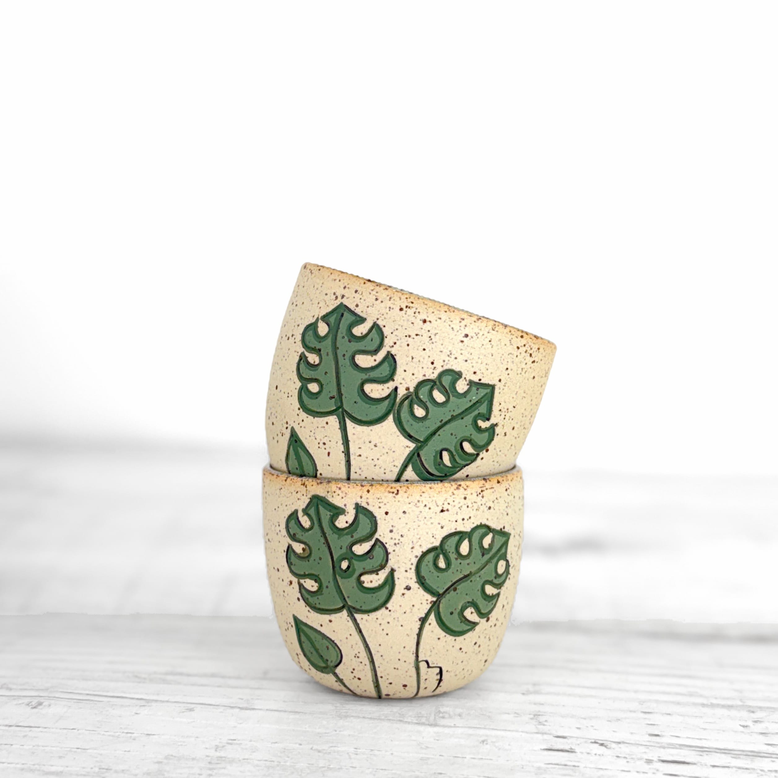 Monstera 120ml